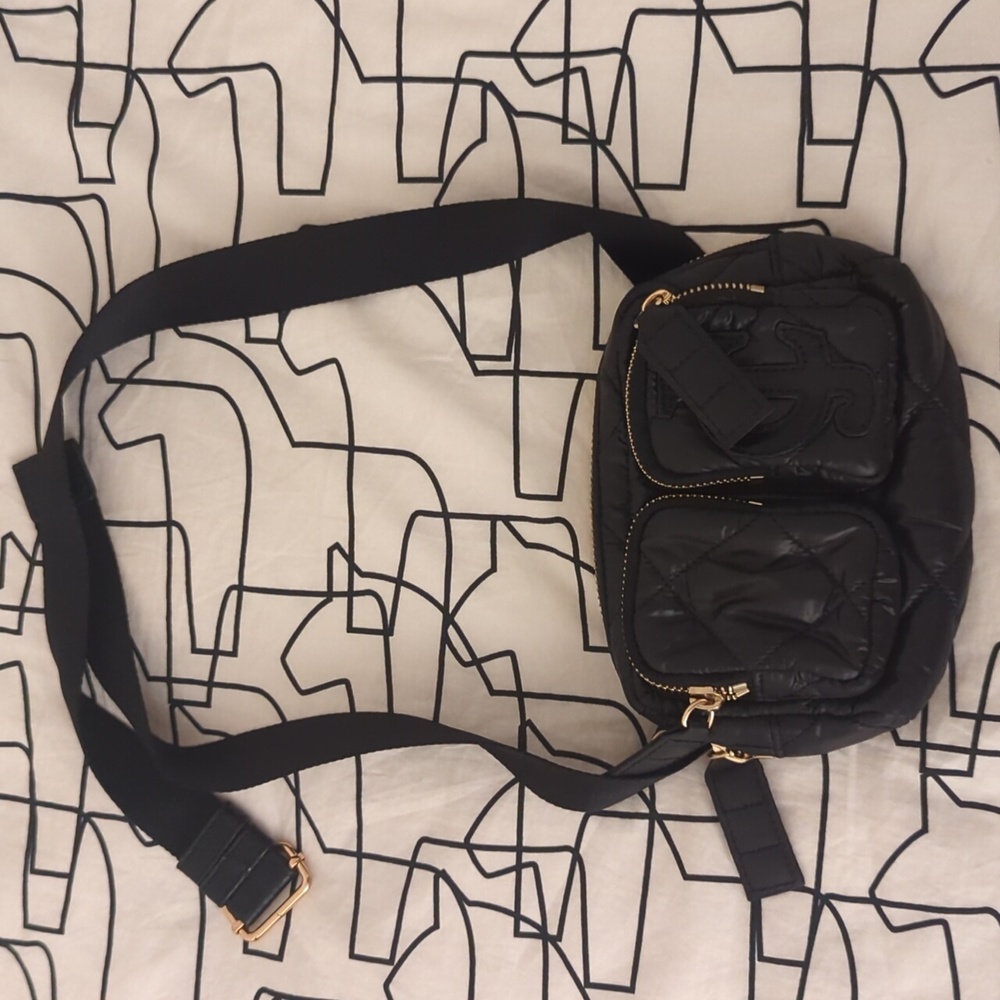 Fanny pack